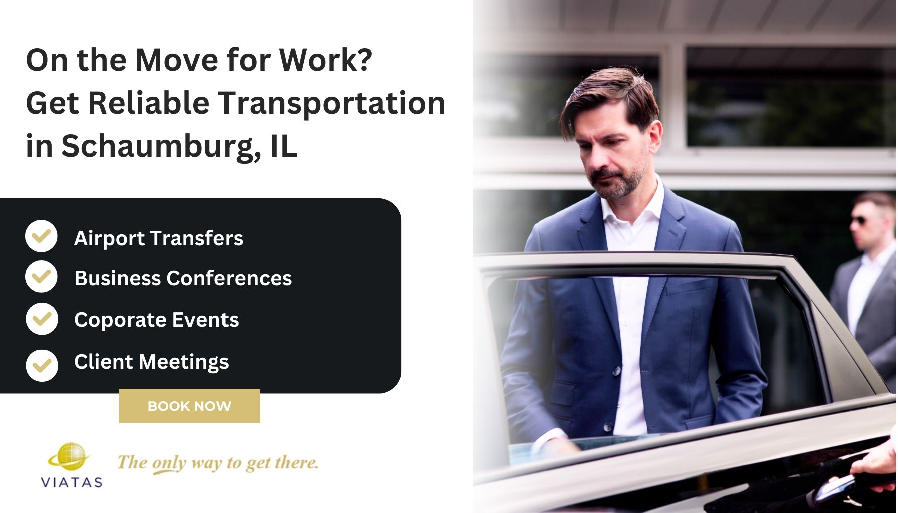 executive-car-service-schaumburg-il-viatas-transportation