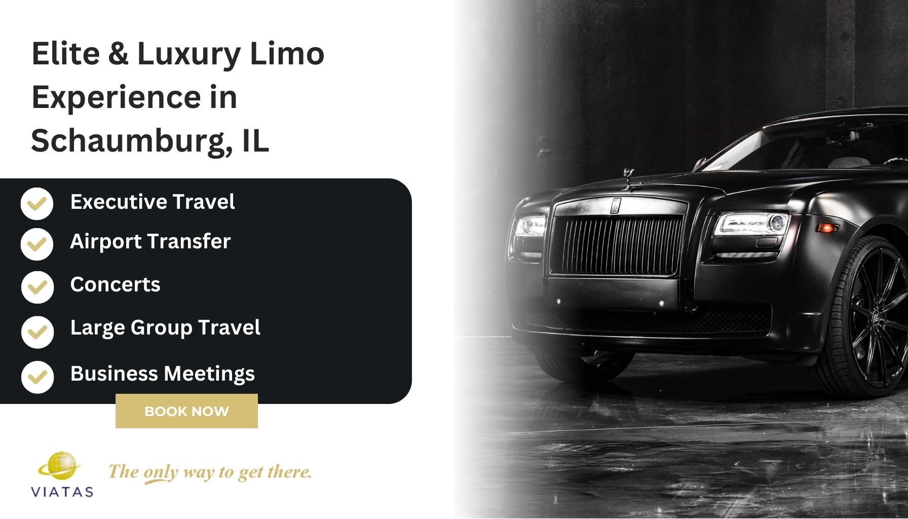 limo-service-schaumburg-il-viatas-transportation